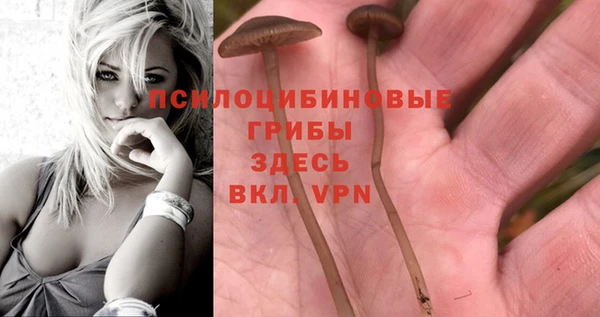 каннабис Армянск